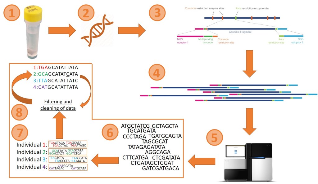 Bigger and better: the evolution of genomic markers – The G-cat