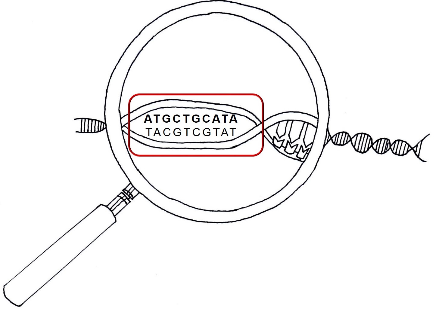 Magnifying glass figure
