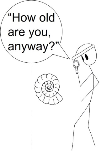 Ammonite comic.jpg