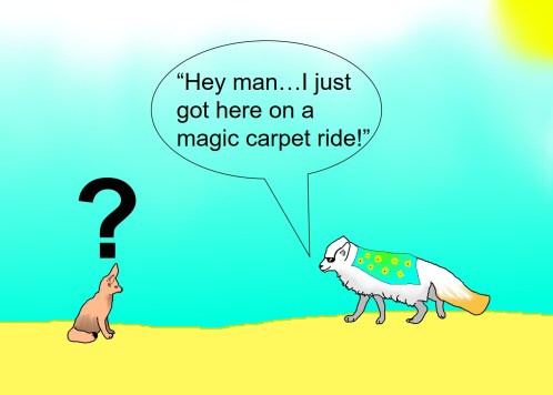 Arctic and fennec final