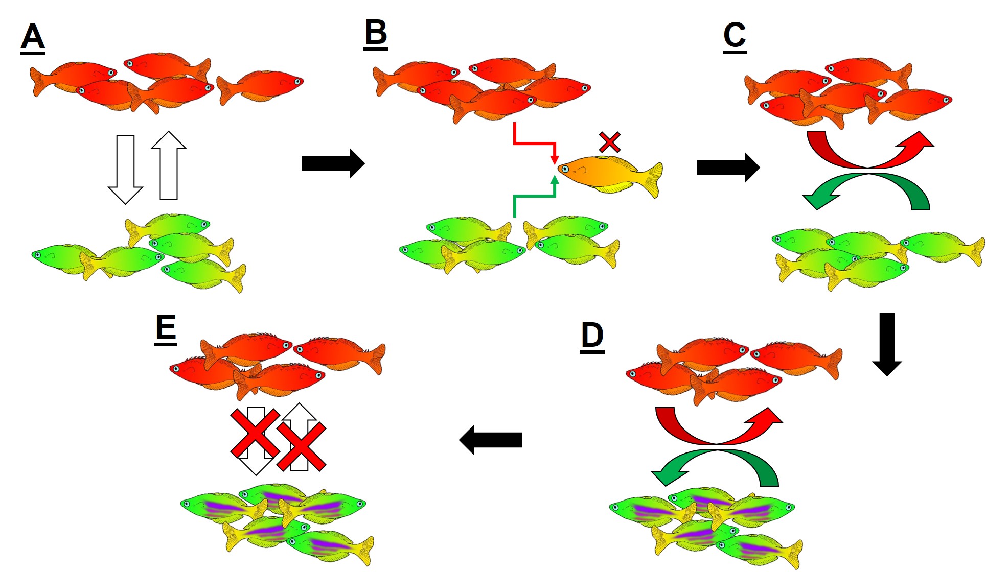 Reinforcement figure.jpg