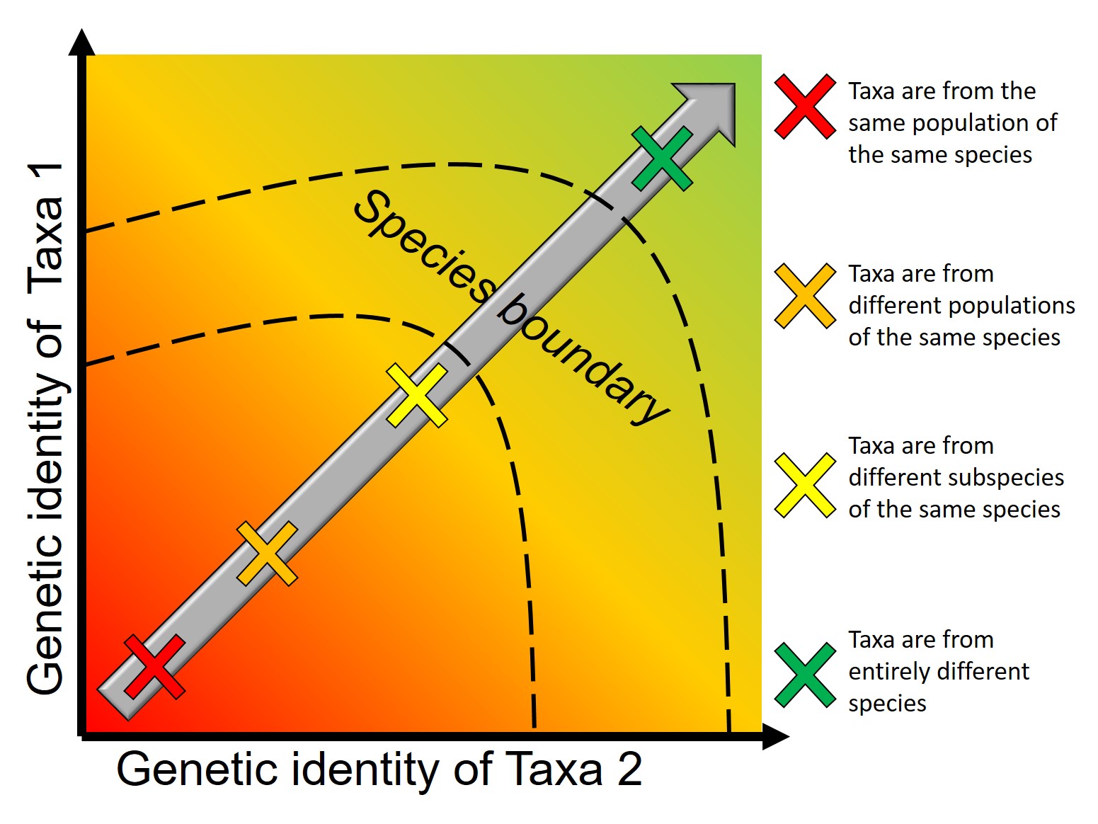 Speciation continuum figure