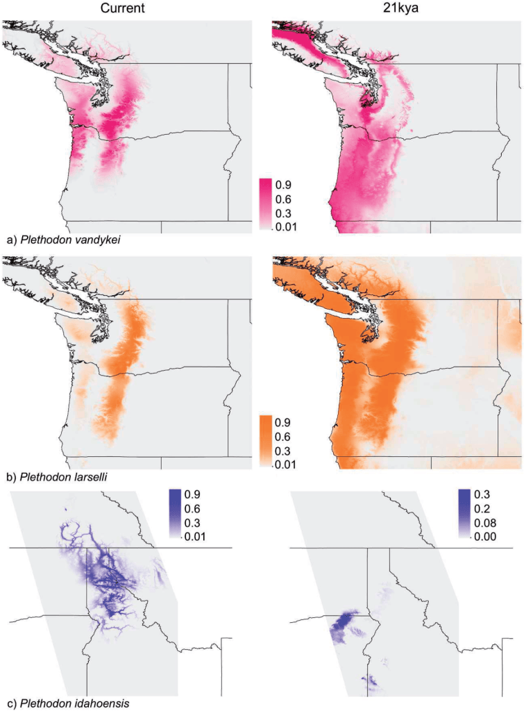 The MolEcol Toolbox: Species Distribution Modelling – The G-cat