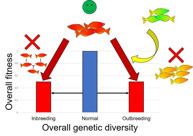 Inbreeding vs outbreeding figure.jpg