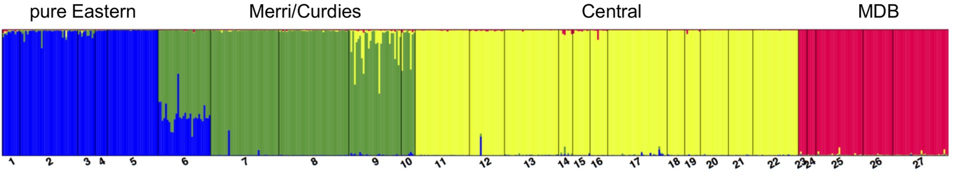 Simple YPP structure figure.jpg