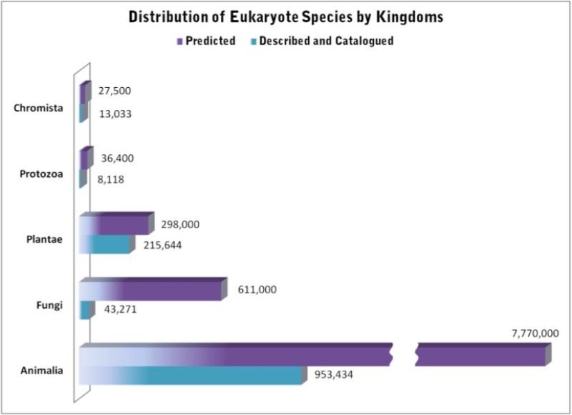 Species on Earth estimate figure