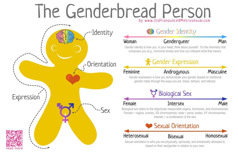 Genderbread-Person figure