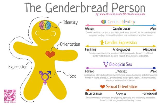 Genderbread-Person figure