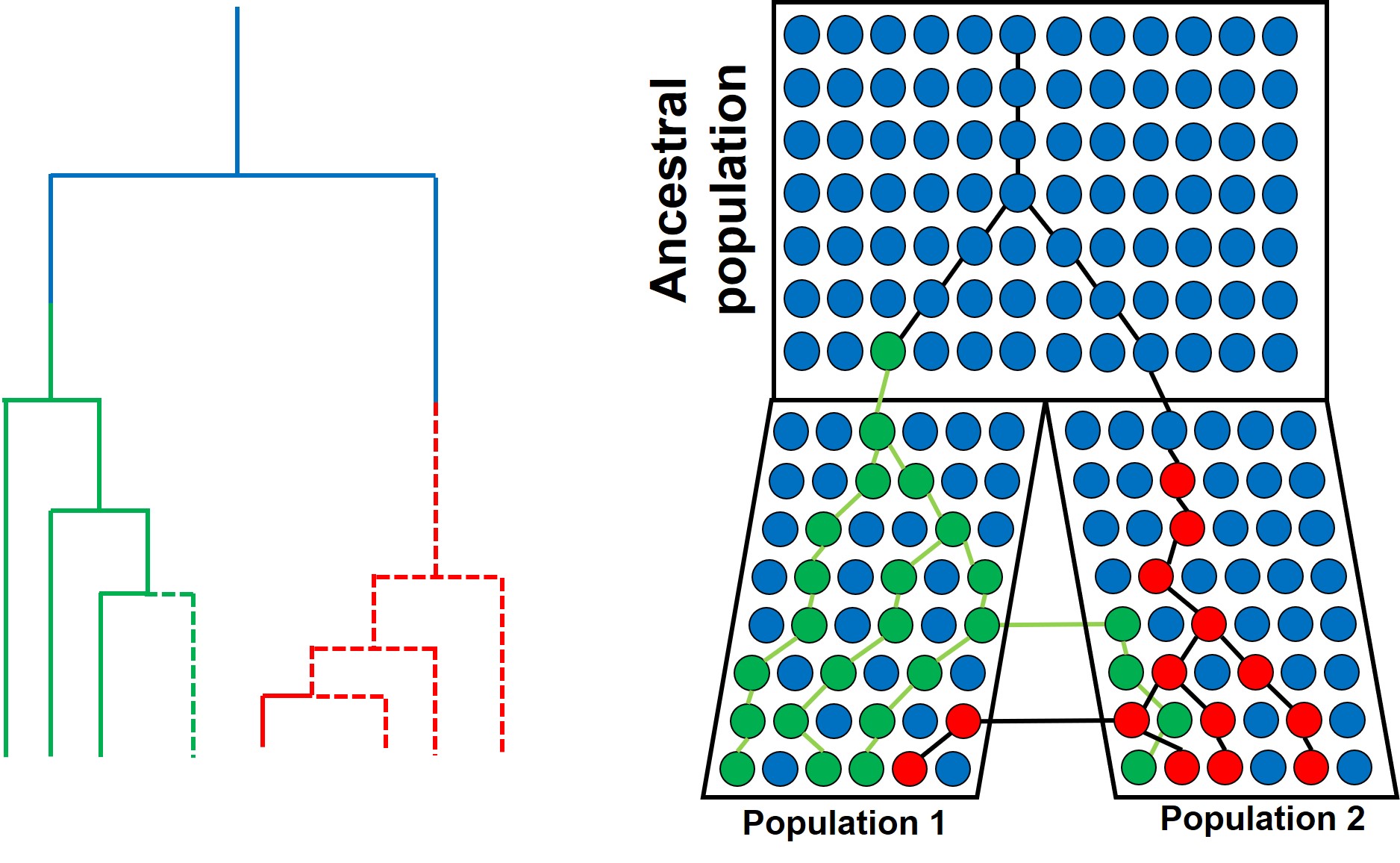 Migration rate test figure