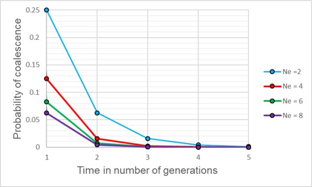 Variable Ne and coalescent probs