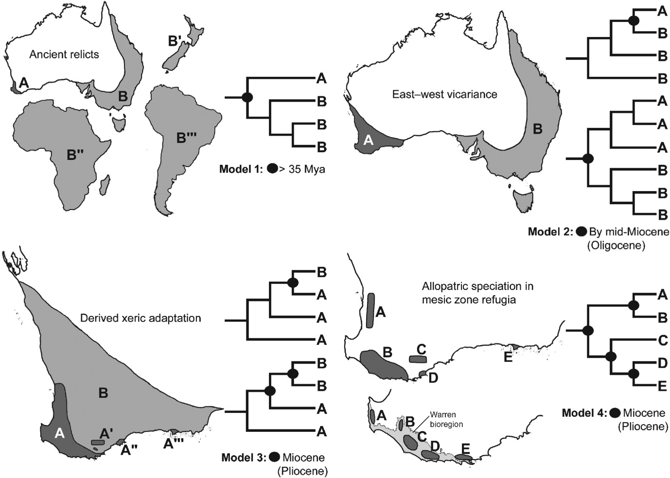speciation patterns in SWWA.jpg