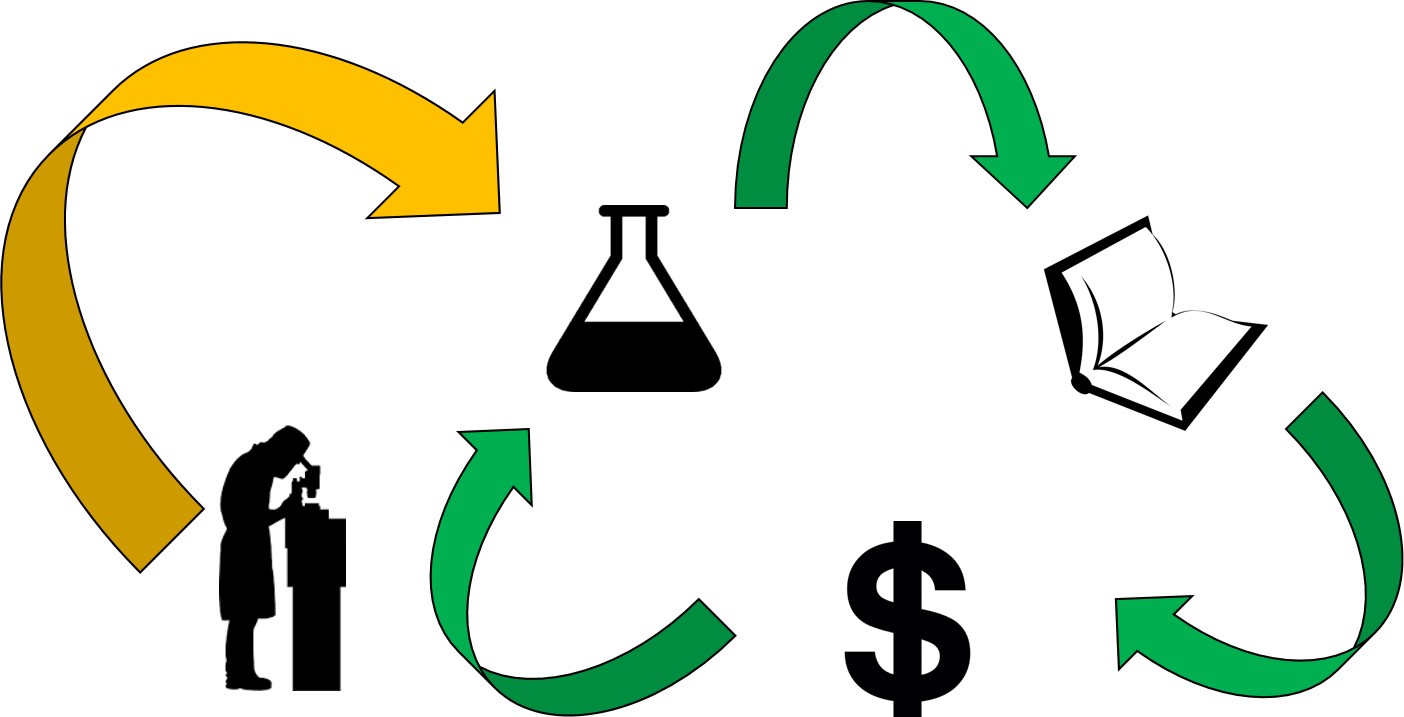 Publishing cycle.jpg