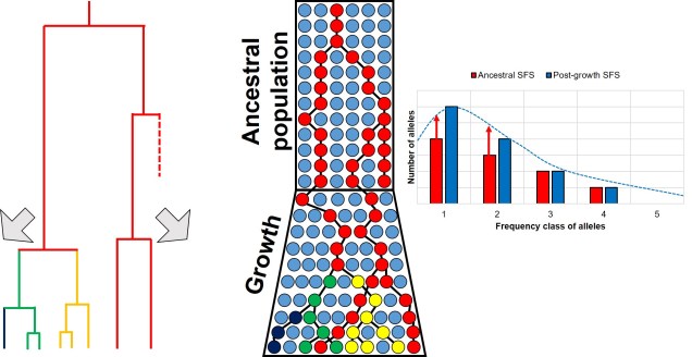 SFS shift from expansion example.jpg