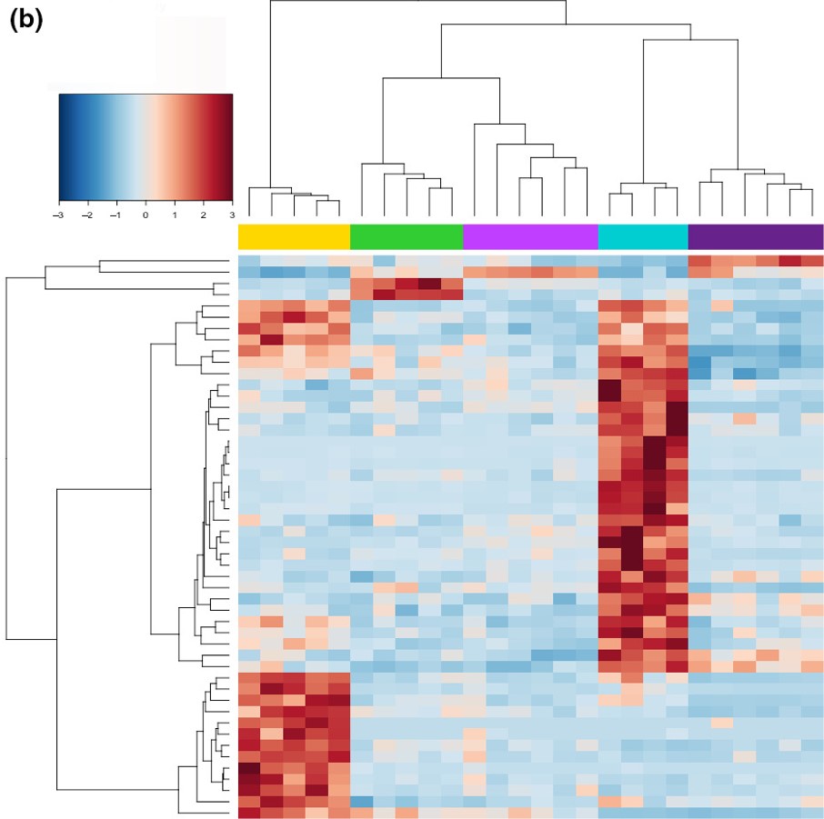 Brauer DE figure_cropped