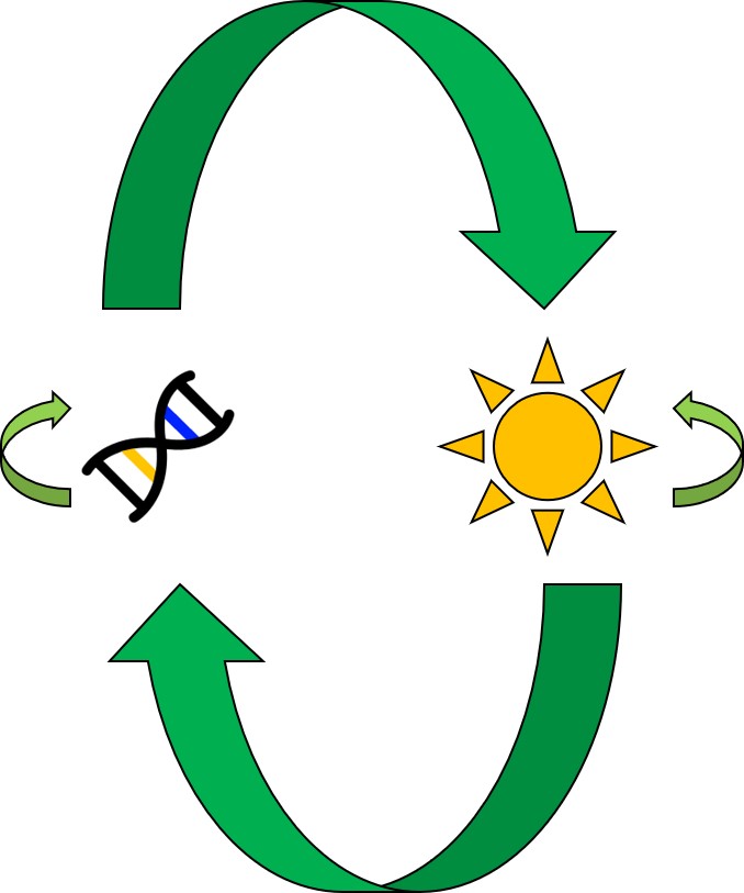 Genetics and environment interactions figure.jpg