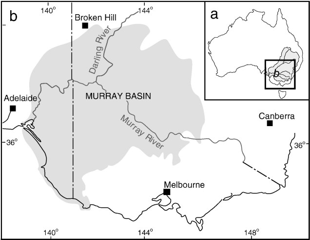 Bungunnia silhouette figure
