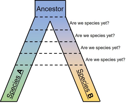 Speciation continuum figure.jpg