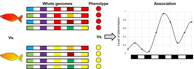 Summary of GWAS figure.jpg