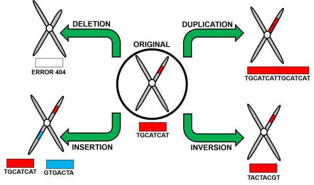 Types of structural variation figure