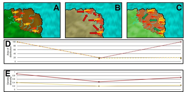 Temporal discordance figure.jpg