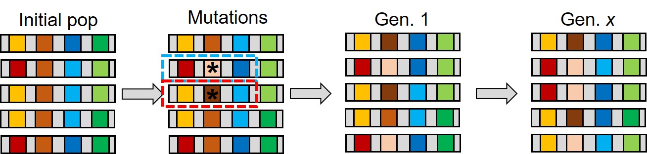 Soft sweep multiple mutations figure
